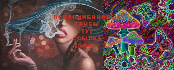 прущий лед Богородицк